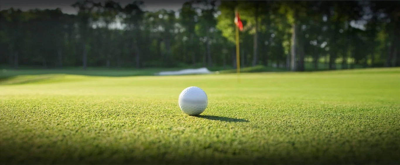 A golf ball on a well-kept green