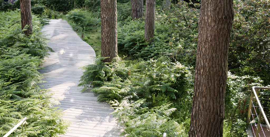 Wooden path through the Sonian Forest