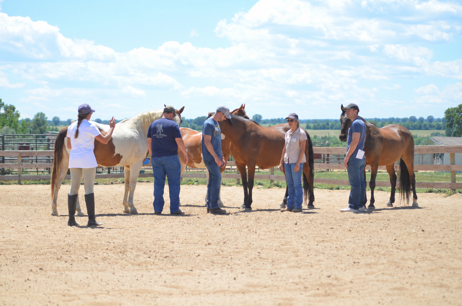 A participant interacting with a horse during a Resonance equicoaching session.
