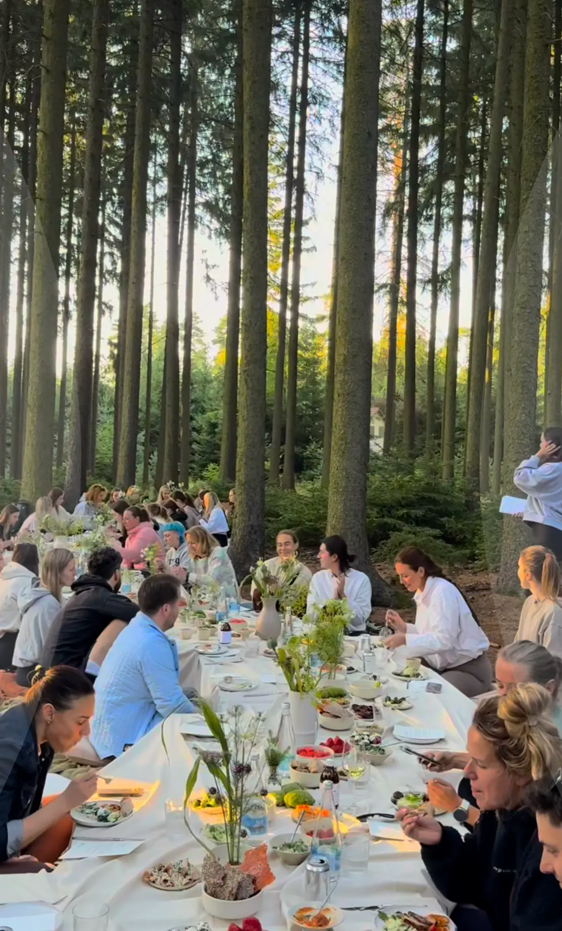 A long shared meal in the forest during a staff party